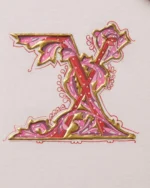 English Alphabet Series - X - Image 4